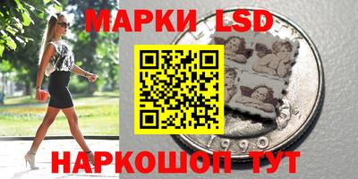 гидропоника Пенза