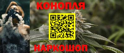 гидропоника Пенза