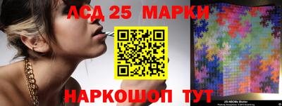гидропоника Пенза