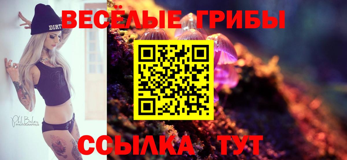 Псилоцибиновые грибы прущие грибы Сатка
