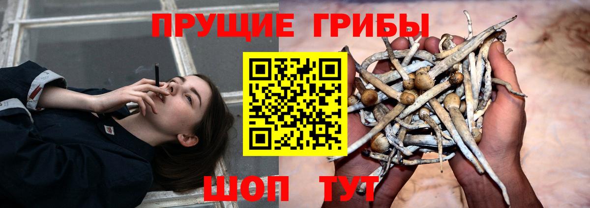 Сатка  Галлюциногенные грибы Magic Shrooms  Псилоцибиновые грибы Psilocybe  Вход с VPN 